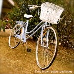 Vintage Cruiser Antique