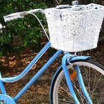 Vintage Cruiser Feature