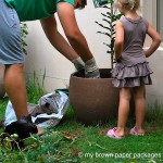Supervising Daddy in the garden