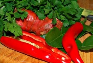 Tom Kha Gai - chilli, kaffir lime, galangal, coriander