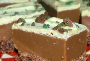 Choc Mint Slice