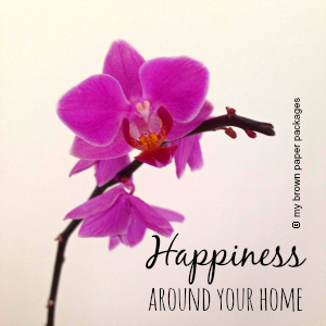 Happiness around your Home
