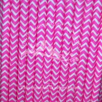 Paper Straws Pink Chevron