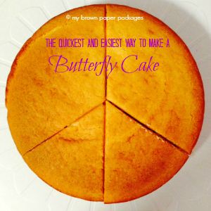 Quick & Easy Butterfly cake