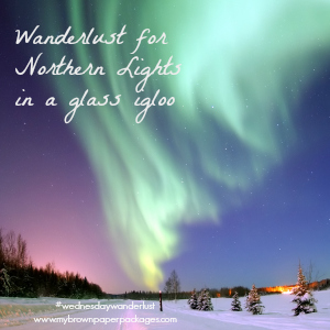 Wanderlust Lights Igloo