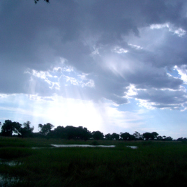 Botswana Walk Clearing Storm