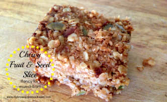 chewy fruit & seed slice