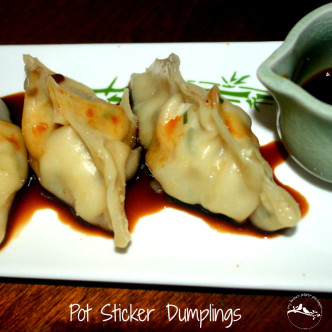 My Pot Sticker Dumplings